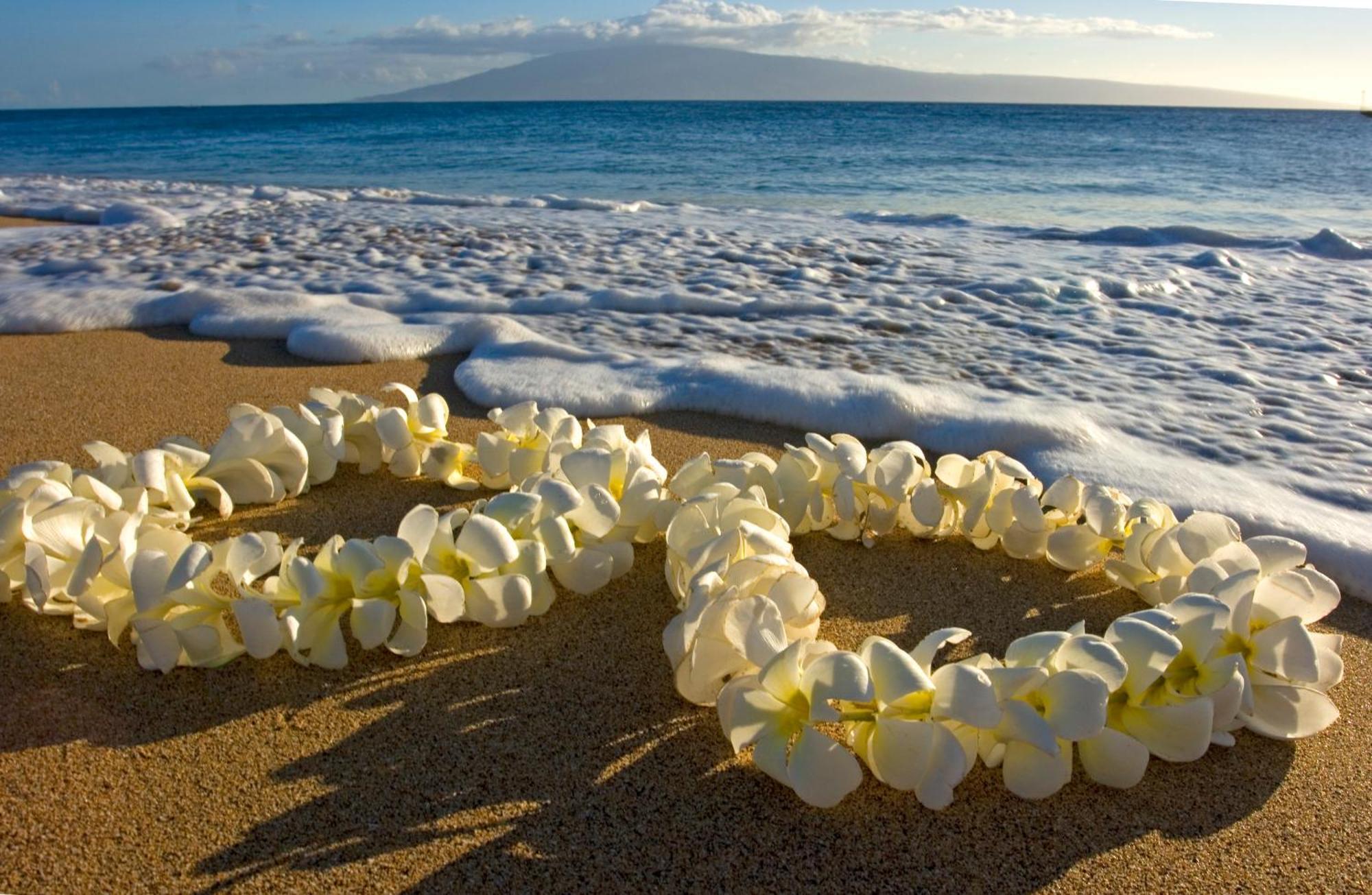 Mountain View Condo Near Beach With Free Parking! Honolulu Extérieur photo