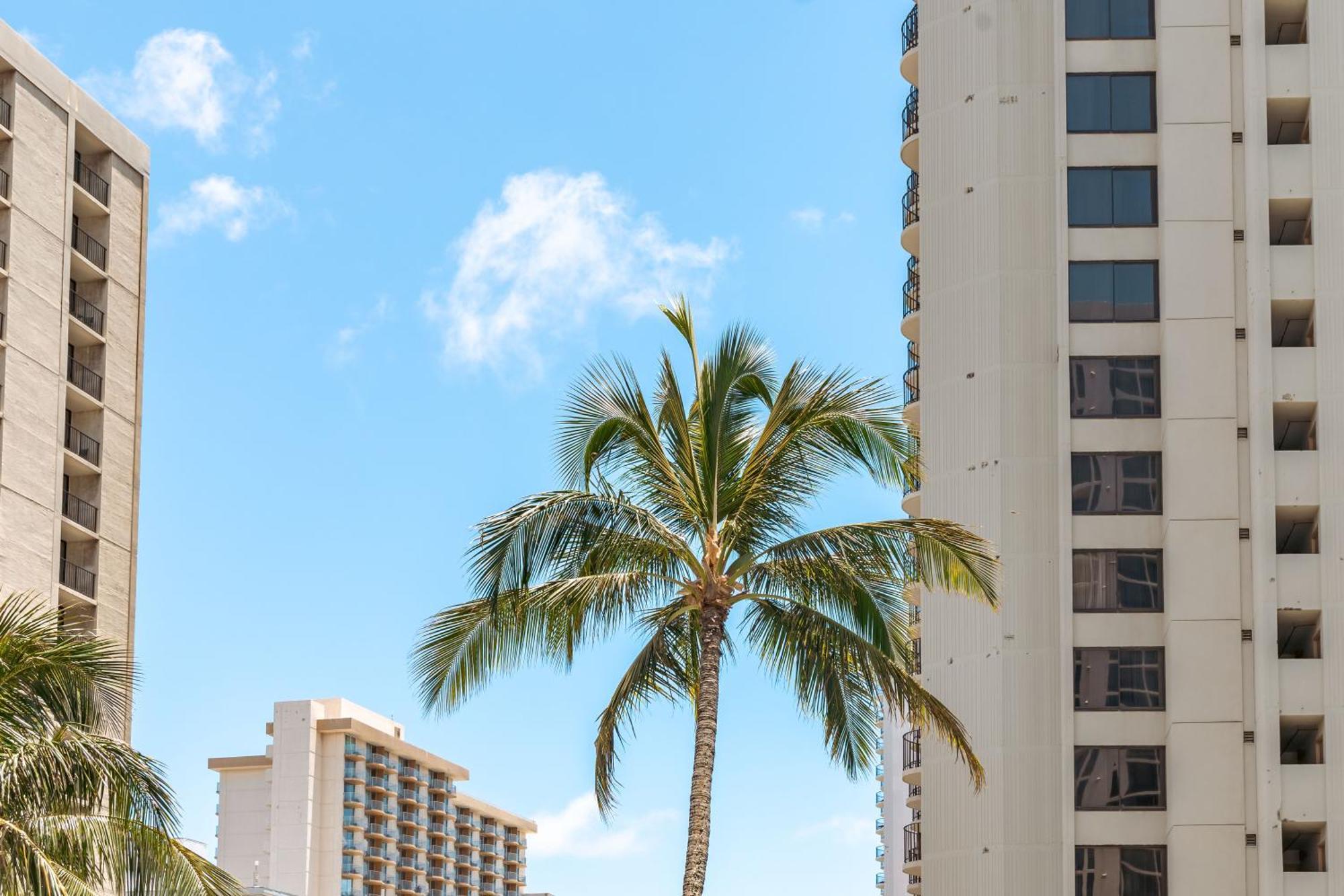 Mountain View Condo Near Beach With Free Parking! Honolulu Extérieur photo